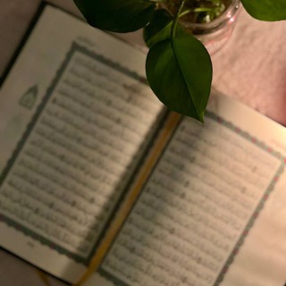 Telegram profile photo for لِــــــ حافِظة القُرآن