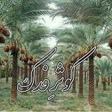 Telegram profile photo for نیکوکاری و قرض الحسنه کوثرِفدک