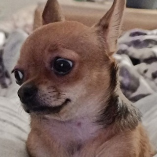 Telegram profile photo for Алясочка