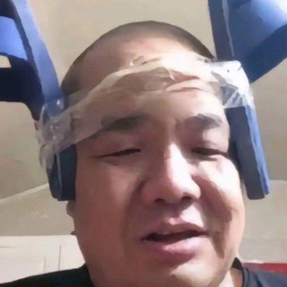 Telegram profile photo for 米田「财富狗」通知频道