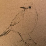 Telegram profile photo for Ночной чай |архив|