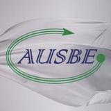 Telegram profile photo for AUSBE Singapore