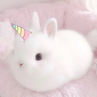 Telegram profile photo for адэшк ₊˚⊹ ᰔ