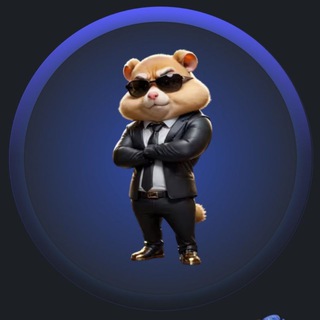 Telegram profile photo for ایردراپ های معتبر(تپ سواپ،همستر و...)