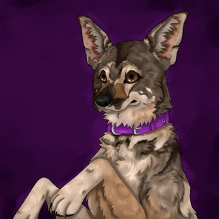 Telegram profile photo for в гостях у Чары