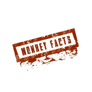 Telegram profile photo for MONKEY FACTS
