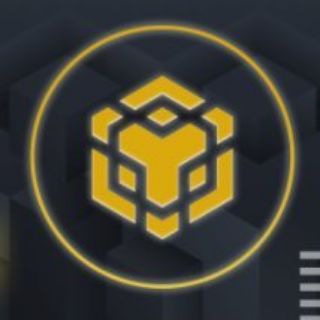 Telegram profile photo for Binance Smartchain Project