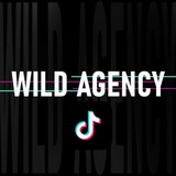 Telegram profile photo for Wild Agency TikTok