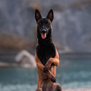 Telegram profile photo for На кайфовой стороне | Малинуа