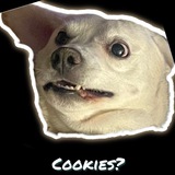 Telegram profile photo for \\\ Memes Lives Matter \\\ FYMM