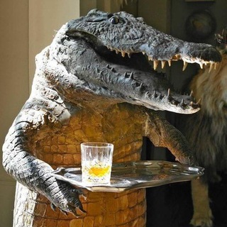 Telegram profile photo for Крокоділдо 🐊 | AlexJss