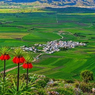 Telegram profile photo for روستای گرگان