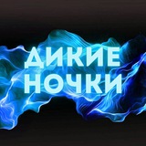 Telegram profile photo for ДИКИЕ НОЧКИ | WILD NIGHTS