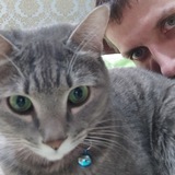 Telegram profile photo for Каrтавый Мизантrоп | Таисия идёт в школу