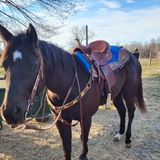Telegram profile photo for DiscipleofYahusha
