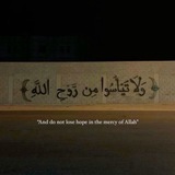 Telegram profile photo for ﮼ریا