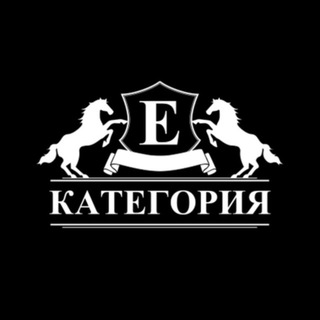 Telegram profile photo for Категория Е