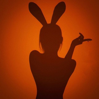 Telegram profile photo for 《深夜淫站》备用防失联