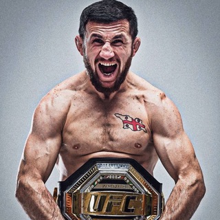 Telegram profile photo for Merab Dvalishvili
