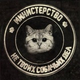 Telegram profile photo for анна аутсайдер