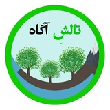 Telegram profile photo for تالش آگاه✔️