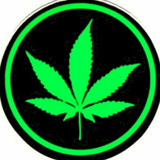 Telegram profile photo for @weedfazee 🌿🪴