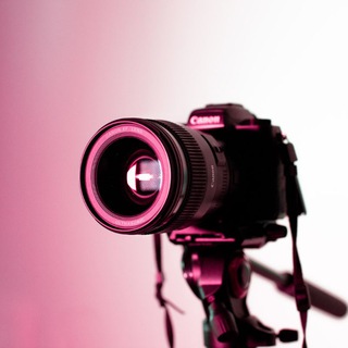 Telegram profile photo for عدسة ملهم - Moulham Lens