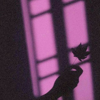 Telegram profile photo for زهرة البنفسج💜🍃