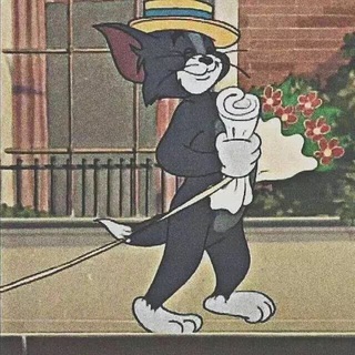 Telegram profile photo for اوي