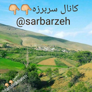 Telegram profile photo for سربرزه