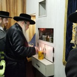 Telegram profile photo for מערכת טאהש