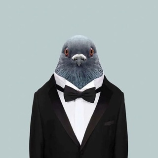 Telegram profile photo for MEXC STOCKS SPLASH