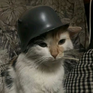 Telegram profile photo for картина Репина