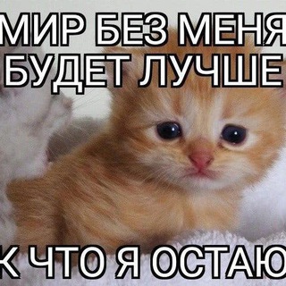 Telegram profile photo for alone stupid fish