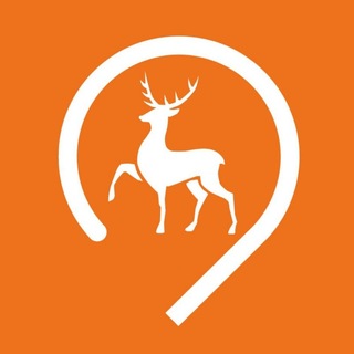 Telegram profile photo for Транспорт Нижнего