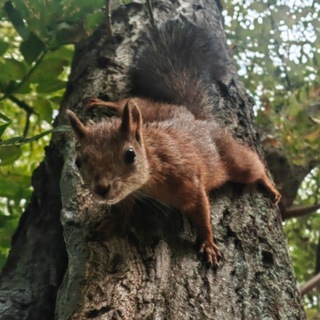Telegram profile photo for точка жэпэгэ