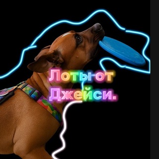 Telegram profile photo for Лоты от Джейси.