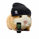 Telegram profile photo for Хомячки