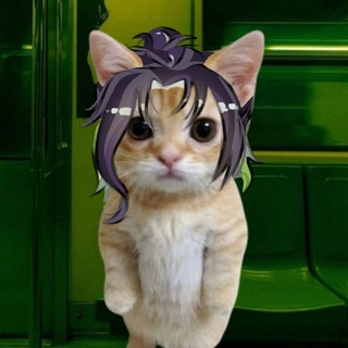 Telegram profile photo for •🍀𝕀ℕ𝔼ℝ☘️•