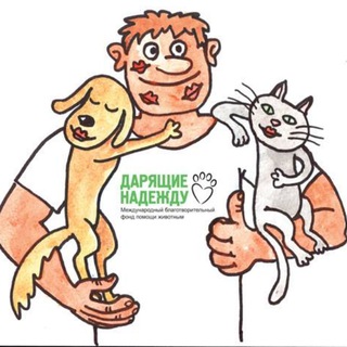 Telegram profile photo for Волонтерские задачи фонда "Дарящие надежду" 🐶