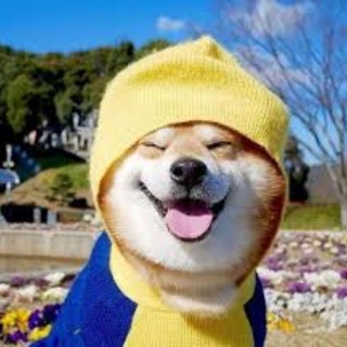 Telegram profile photo for 女神|完美身材|大长腿