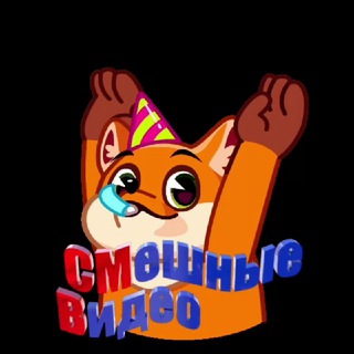 Telegram profile photo for Смешные Видео|Приколы
