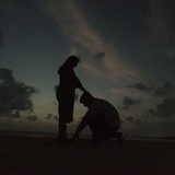 Telegram profile photo for Daily RC