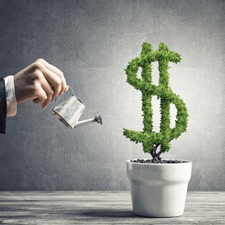 Telegram profile photo for Mr. Invester