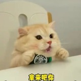 Telegram profile photo for Трэш! Смотри, как закупился!