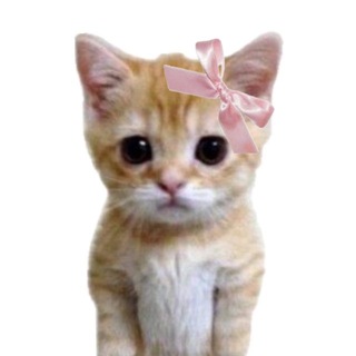 Telegram profile photo for НогтиКогти||наращивание ногтей новосибирск||ногти новосибирск