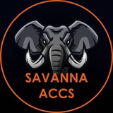 Telegram profile photo for Savanna Accs