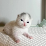 Telegram profile photo for самый бедный