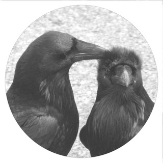 Telegram profile photo for 𓈒 ୨୧ ﹫𝒶𝖽𝖺𝗉𝗍𝖾𝗋 ︵͜ᅠ𖹭