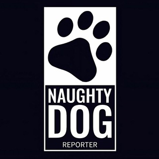 Telegram profile photo for NAUGHTY DOG REPORTER